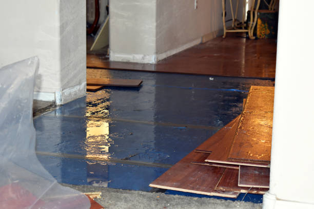 Professional Basement Flood Cleanup technician working in Eaton Rapids, MI